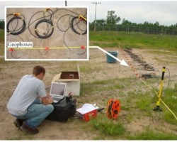 2D section of shear wave velocity of MSW