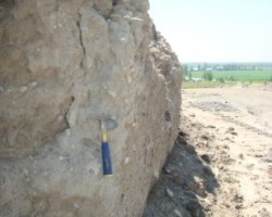 Vertical cut on Municipal Solid Waste Incineration Ash